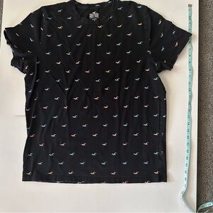 Hollister Black Tee with Multicolor Logo